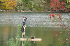 scarecrow-raft-3