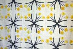 2010-Show-Dancing-Daffodils-Ramsay-01