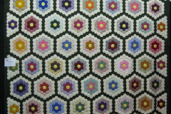 2010-Show-Hexagon-Puzzle-Veinot-01