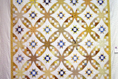 2010-Show-My-Yellow-Stars-Veinot-01