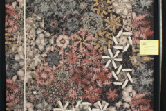 8047547908_9abae223f2_o