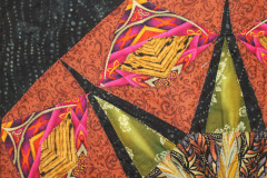 star-burst-detail_7985798019_o