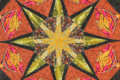 star-burst-polly-greene_7985798077_o