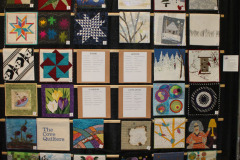 cove-quilters-challenges-winter-stars-flowers-and-lotsa-dots_15457719911_o