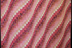 maureens-pink-rhapsody_15274489008_o