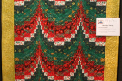bev-drysdales-christmas-swag_29911073936_o
