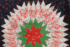 34004263250_7ff28d4584_o