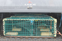 new-fangled-lobster-trap_33547508344_o