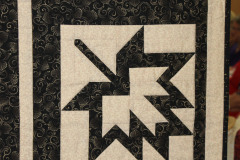 41717105482_6601675c4d_o