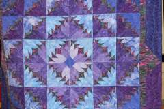 shirleys-sunflower-power_41717133812_o