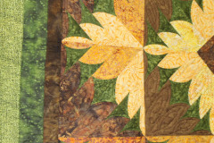 sunflower-power-detail_41717133842_o