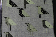 cathies-challenge_44185589825_o