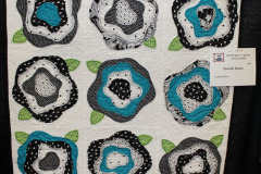 colleens-challenge_45096604731_o