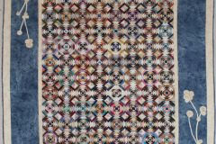 katinas-blue-ice-won-an-honourable-mention-viewers-choice-award_45097791521_o