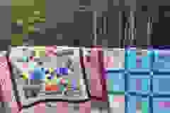 johannas-quilts-2_51354723361_o