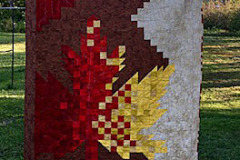 josie-josies-neighbour-was-very-proud-to-display-this-quilt-it-was-presented-with-this-quilt-from-the-quilts-of-valour-program_51350729328_o