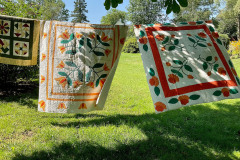 krista-antique-quilts-made-by-kristas-great-aunt-who-had-a-penchant-for-orange_51350754918_o