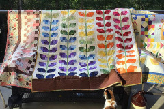 sandy-e-quilts-on-her-balcony_51351265369_o