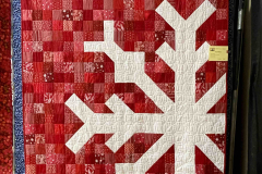 snowflake_52388926229_o