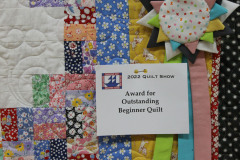 detail-sew-many-pieces_52388549743_o