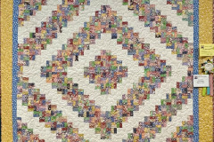 sew-many-pieces-outstanding-beginner-quilt-lynne-h_52388905553_o