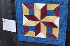 2022-silent-auction_52388918354_o