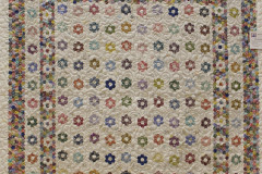 The-Insane-Quilt-Kristina-Hawkins-Harris