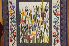 beautifl-iris-garden_17334698796_o