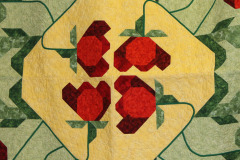 detail-of-isabels-poppy-quilt_17172788428_o