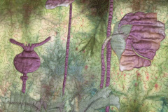 detail-of-simple-landscapes-sample-poppies-in-bloom_14030632631_o