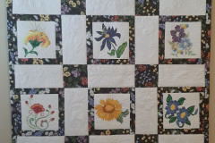 51109432166_5d1bebbcf6_o