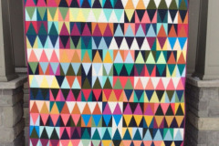 51110179865_387cef91c5_o