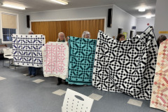 2-Colour-Mystery-Quilt-Reveal-1