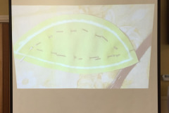 how-the-demo-looks-on-the-big-screen-so-easy-for-all-to-see_18364875436_o