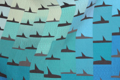 detail-of-shiver_43655539530_o