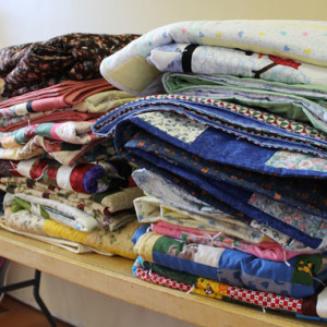 Cuddle Quilt Day 2012