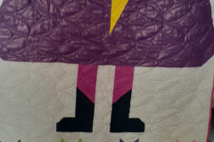 1_52763484090_40beb36ceb_o