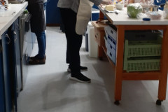 52763483745_e93fc02a37_o