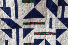 52763483935_bb87899949_o