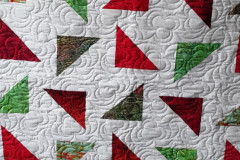 52763484080_0096409a48_o