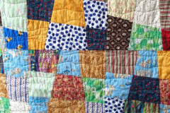 52763566268_a0283e47f3_o