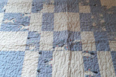 52763566288_f2d78aa8f7_o