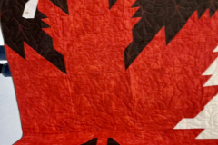 51999836560_dce3db20ba_o