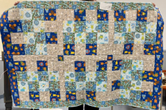 51999836625_0475c341be_o