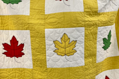 51999836790_691c1144e4_o