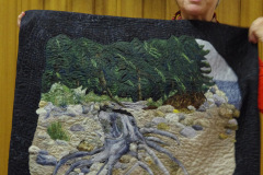 cathys-storm-damage_31429311707_o