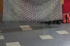 23c8a8b8-5b98-4044-9853-1d007b1abcaa