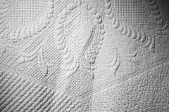 48206298411_ba53f416c8_o