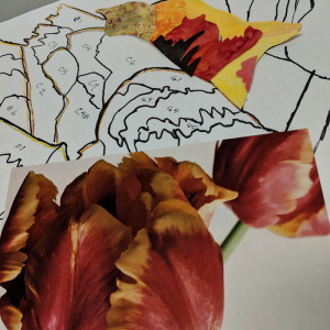 Elaine Quehl "In Bloom" Workshop
