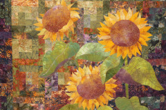 soleil-ll-detail_8634127771_o